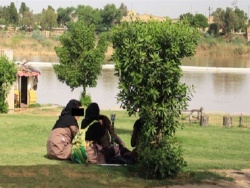 روزنامه نسیم خوزستان از نبود محلی امن و خاص برای تفریح و ورزش دختران، زنان و مادران گزارش می‌دهد ؛  پارک بانوان گلستان اهواز نمونه بارز ناکارآمدی مدیریت شهری است