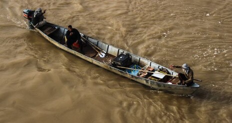 فاجعه عادی شدن صید برقی در خوزستان؛ قتلعام آبزیان در روز روشن و سکوت محیطزیست و شیلات