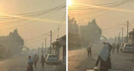 سلامت مردم در اولویت، اما اجرا ناکارآمد ؛ تعطیلیهای نیمهوقت «اشک» خانوادهها را درآورده است