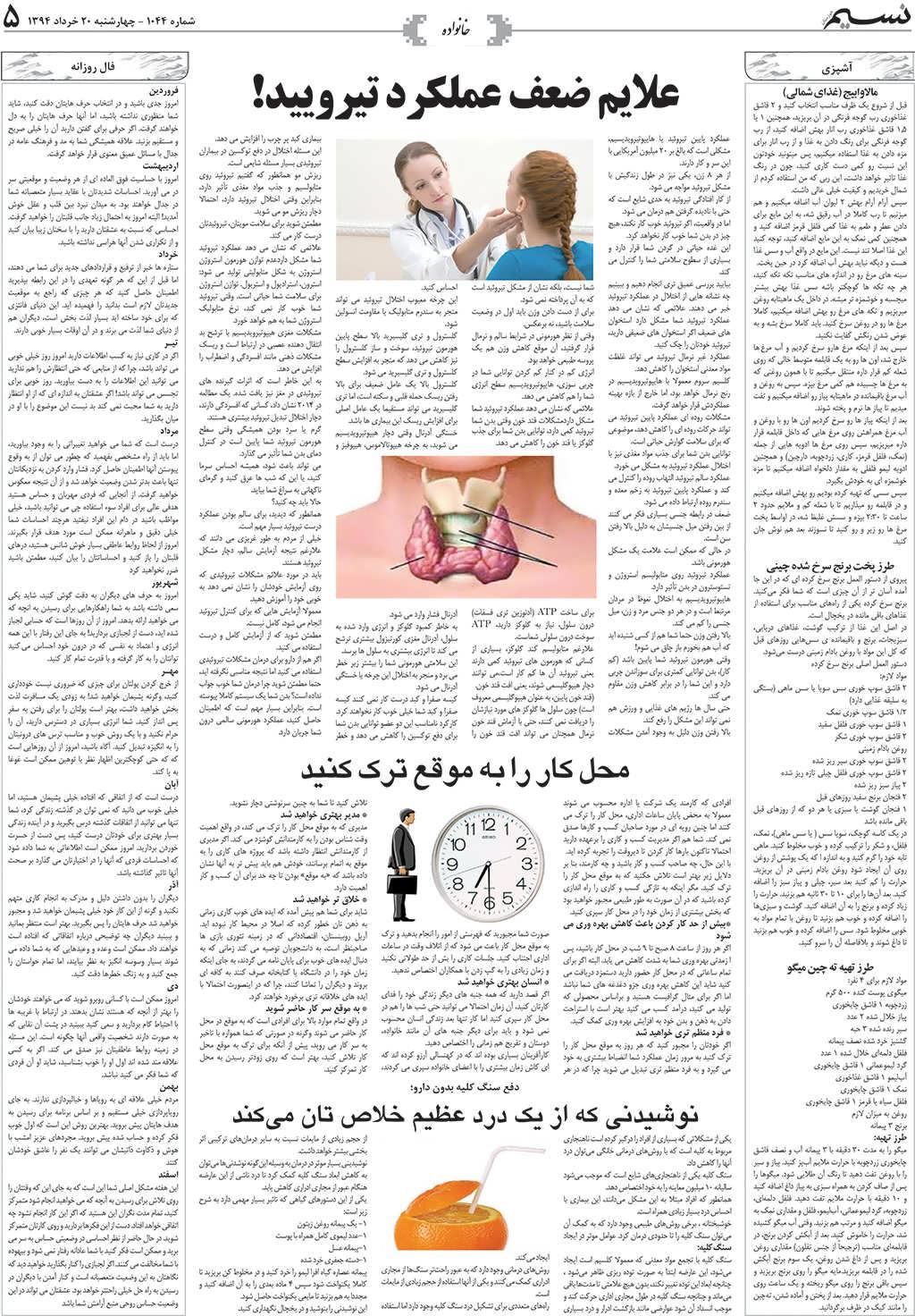 صفحه خانواده روزنامه نسیم شماره 1044